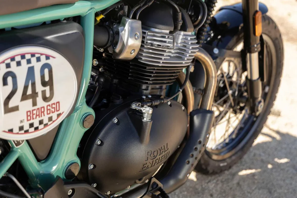 Royal Enfield Bear